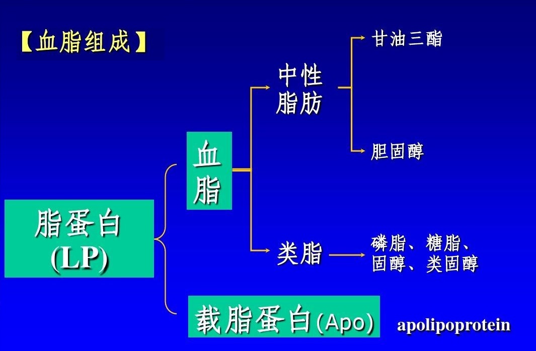  高甘油三酯