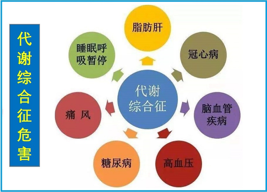  代谢综合征