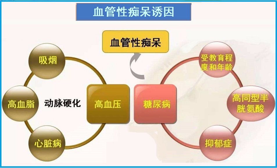  血管性痴呆