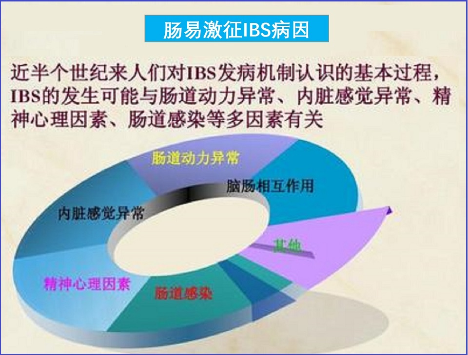  肠易激征