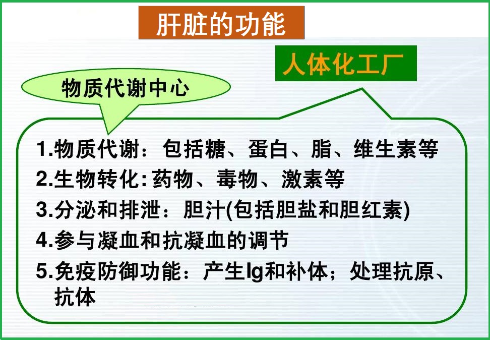  肝保健