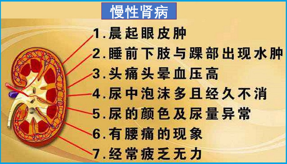  慢性肾病