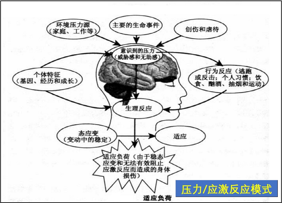  慢性压力管理