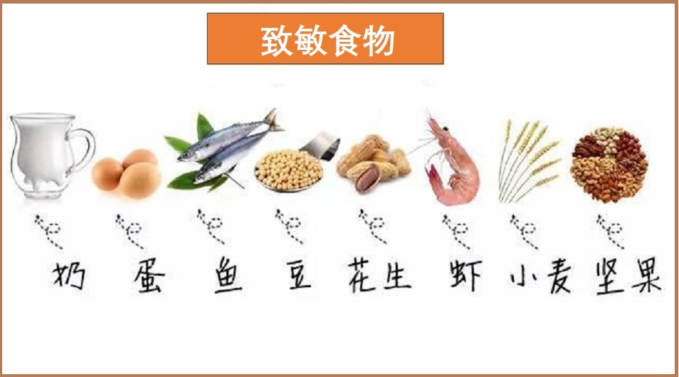  食物过敏