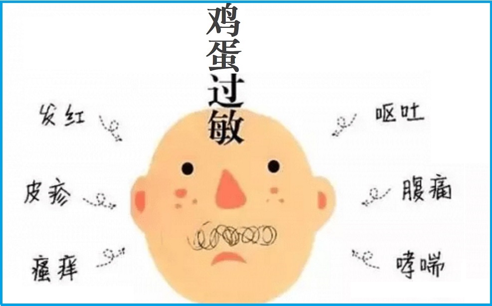  鸡蛋过敏