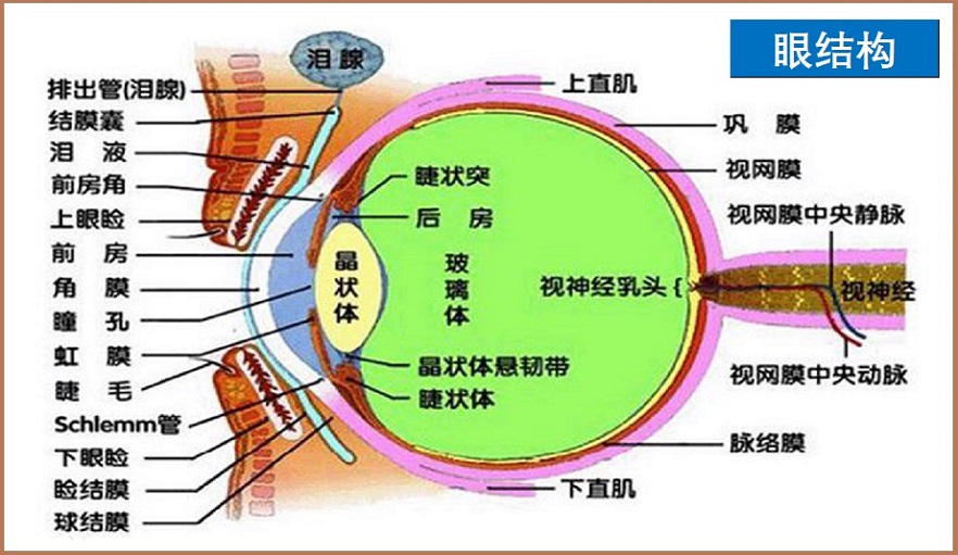  眼健康