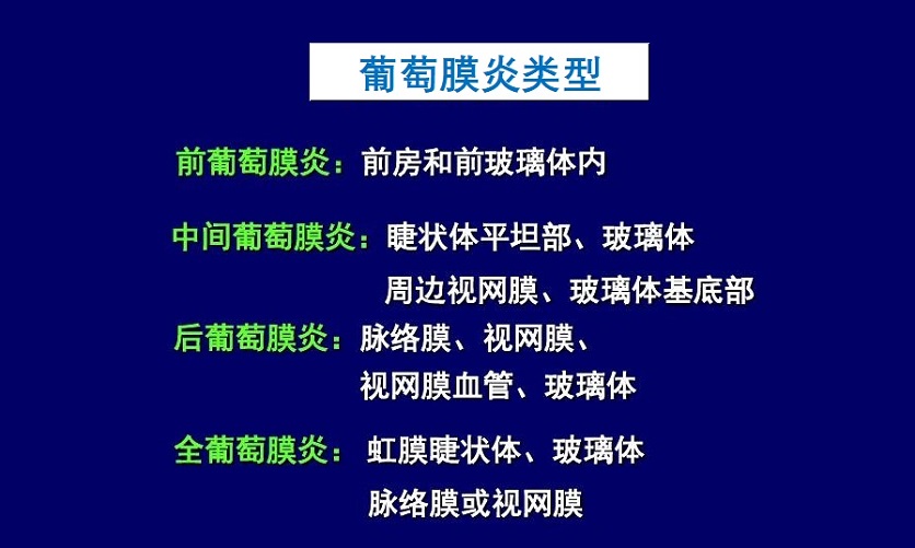  葡萄膜炎