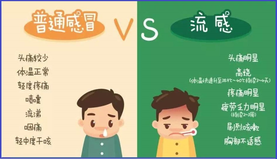  普通感冒
