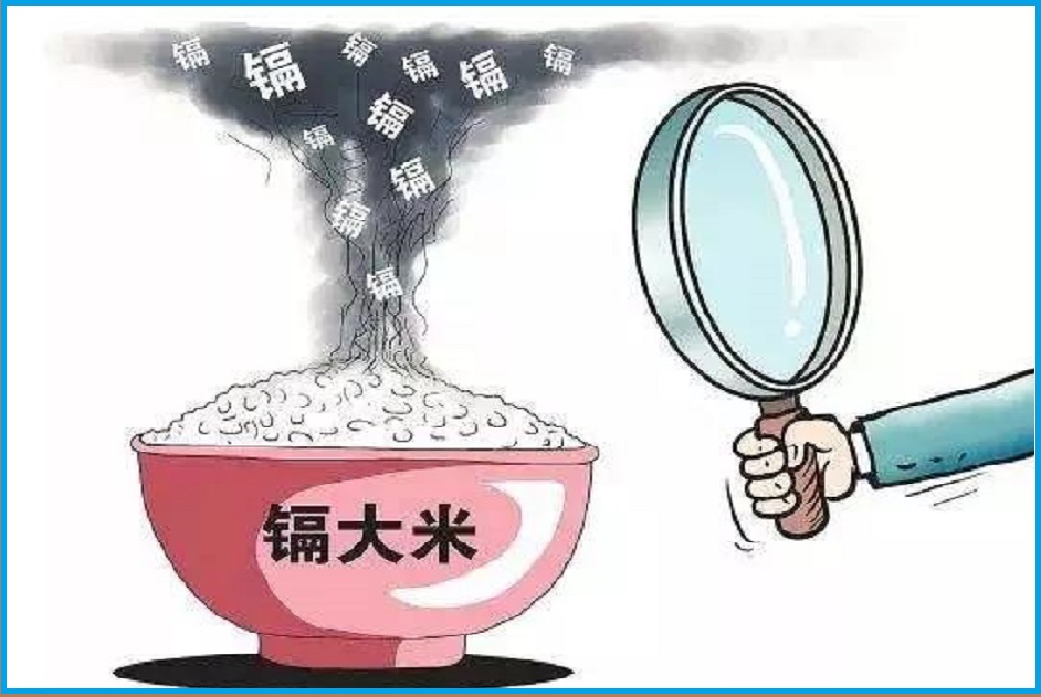  镉中毒