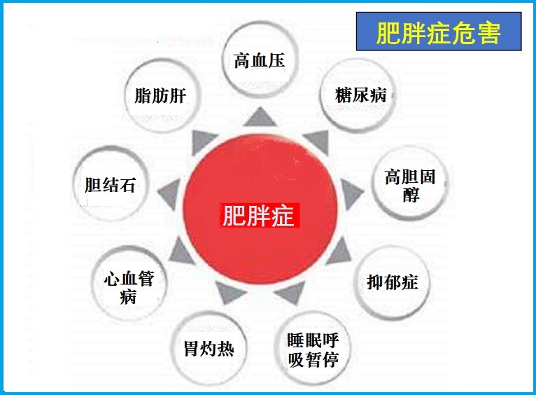  肥胖