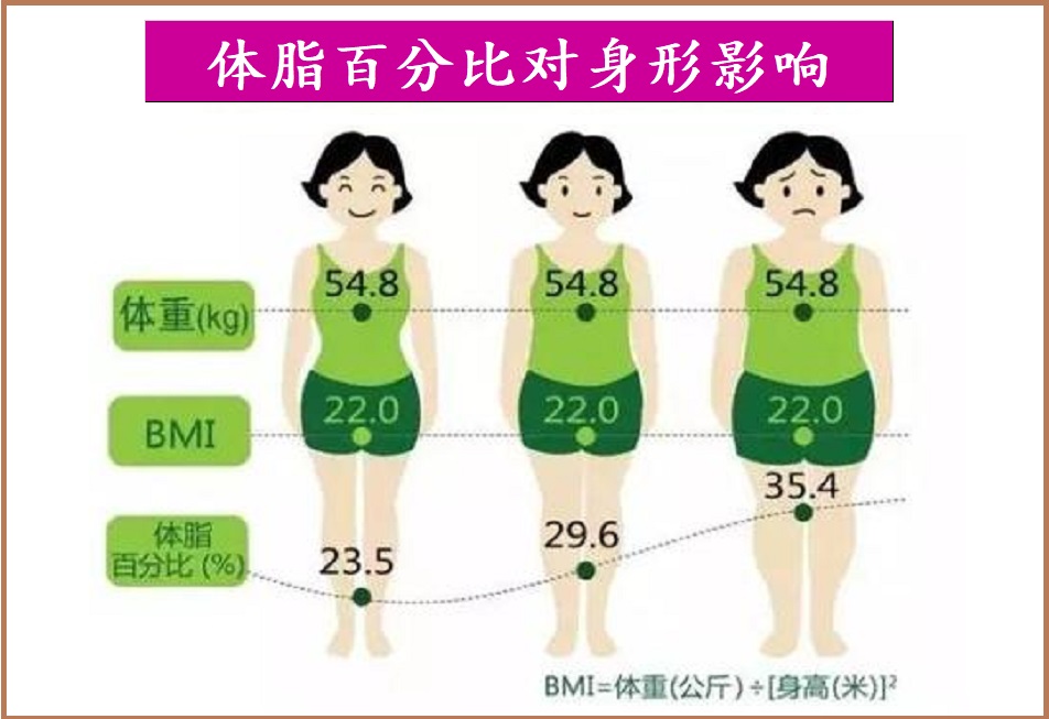  中老年体重管理