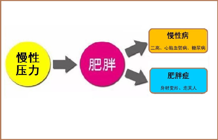  压力型肥胖管理