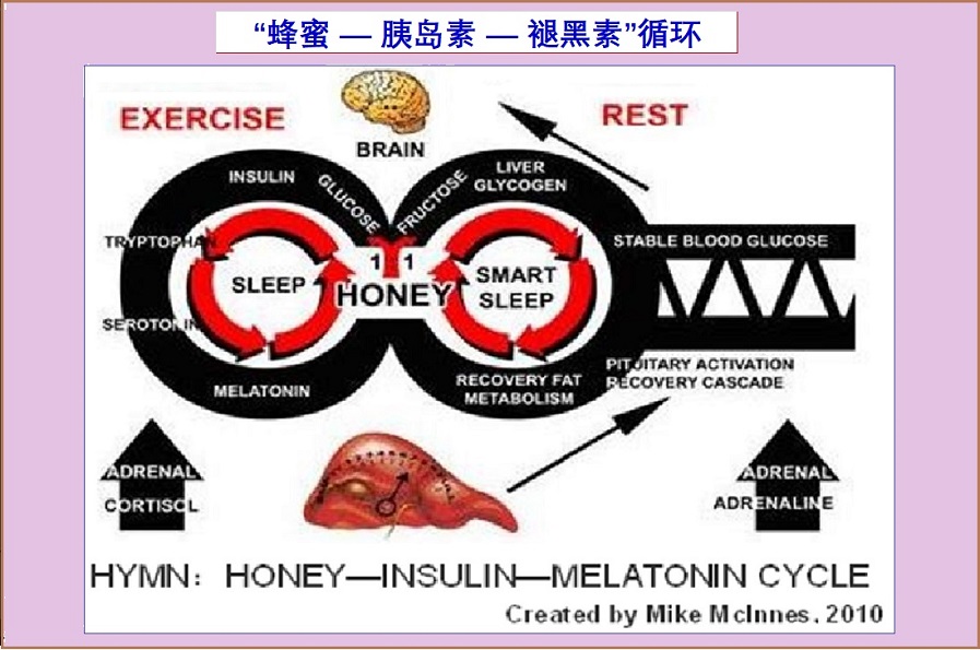  睡眠“燃脂”管理