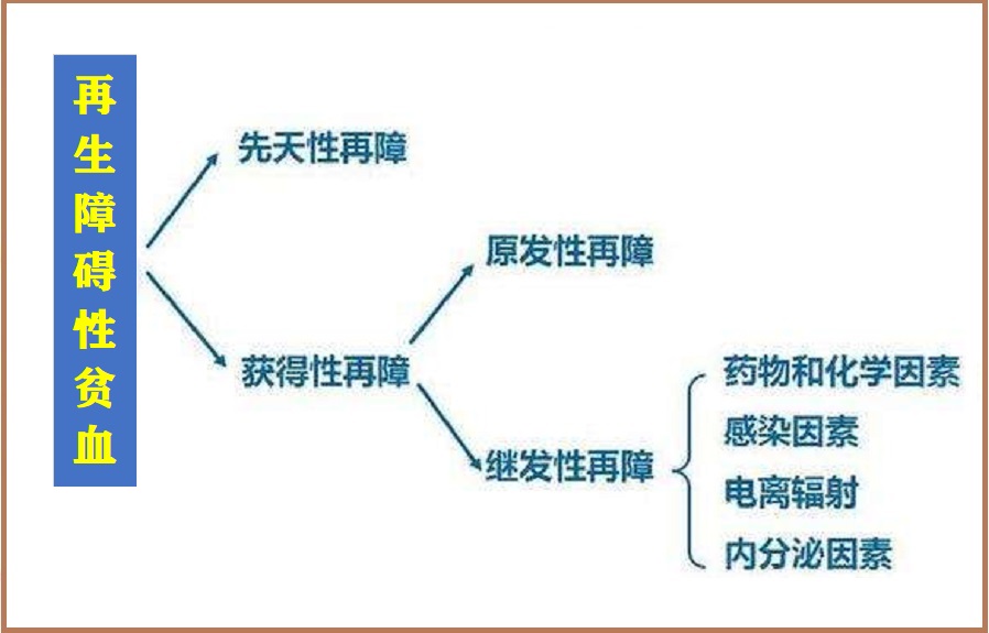 再生障碍性贫血