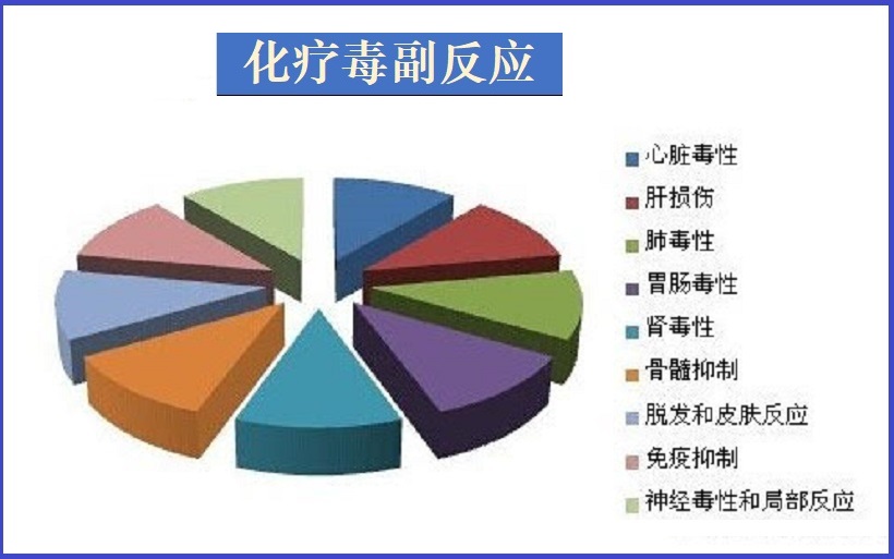  化疗机制与副作用防控
