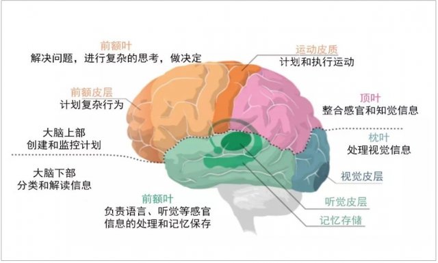  神经黑客